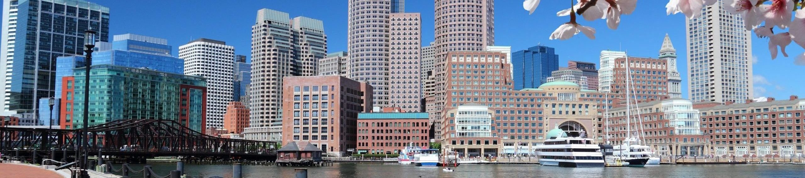 Buildings in Boston with cherry blossom framing